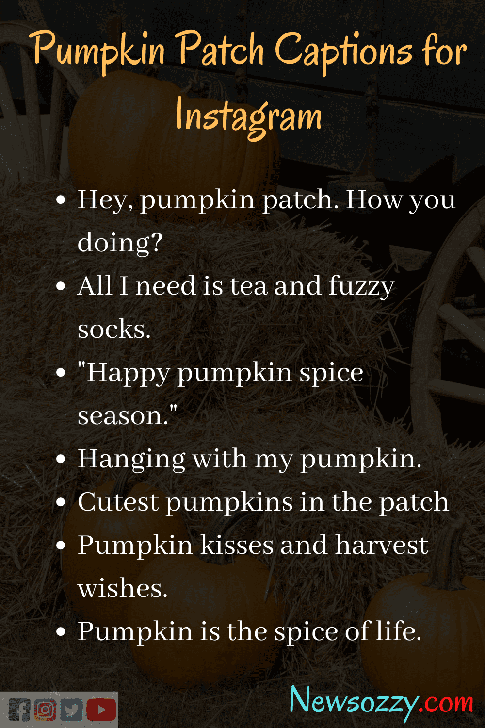 Pumpkin patch puns for instagram