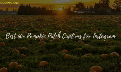 best pumpkin patch captions