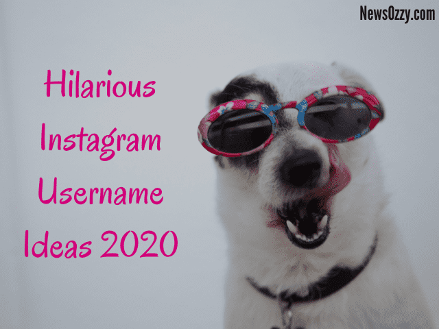 Funny Instagram Usernames 2020