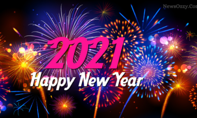 happy new year 2021 whatsapp status video download free mp4