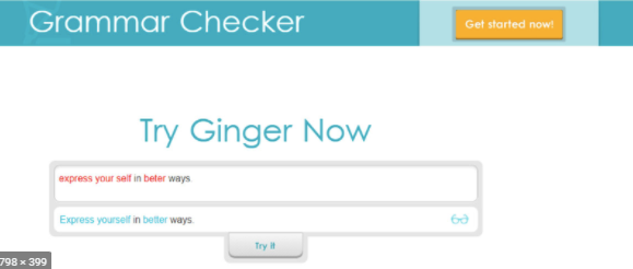Ginger Plag Checker