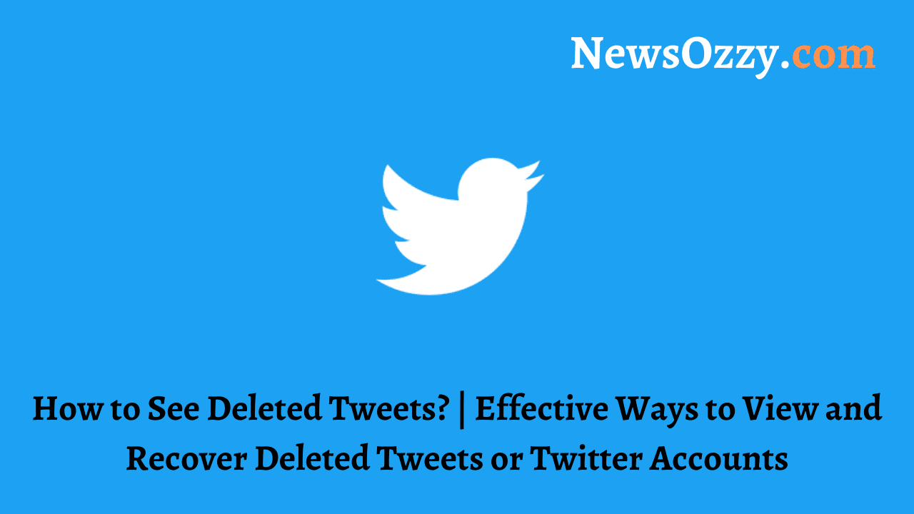 How to See Deleted Tweets