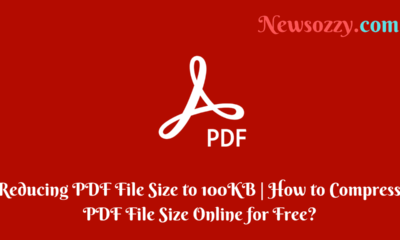 Reducing PDF File Size to 100KB