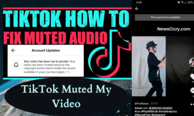 TikTok Muted My Video