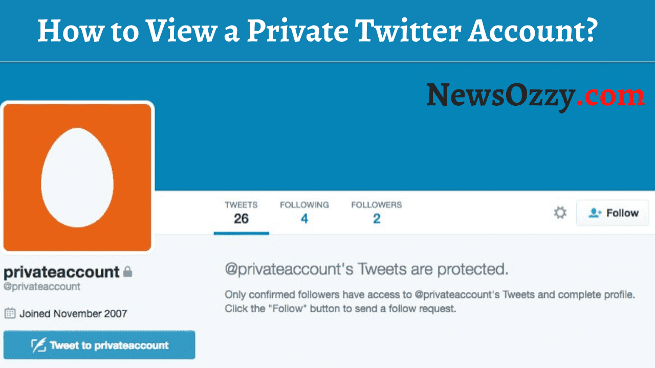 How to View a Private Twitter Account