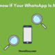 Know If Your WhatsApp Is Monitored