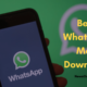 Best Whatsapp Mod Download