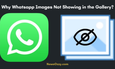 Whatsapp Images Not Showing in the Gallery