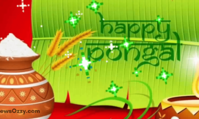 happy pongal 2022 whatsapp status video download