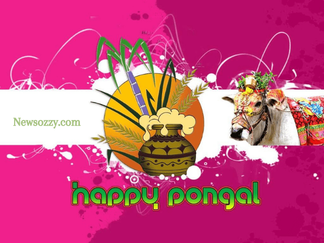 happy pongal images hd download