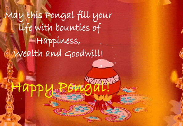 happy pongal wishes gifs