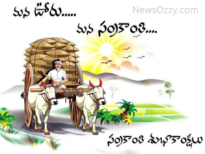 happy pongal wishes images in telugu