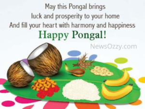 pongal wishes status in english