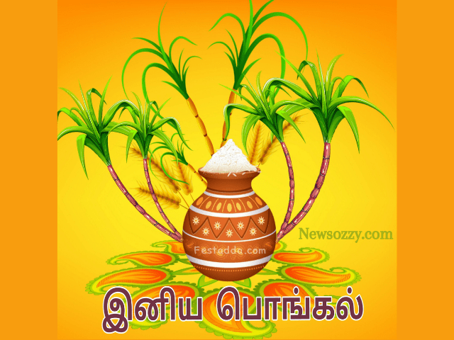 thai pongal wishes images in tamil