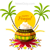 whatsapp dp for pongal festival