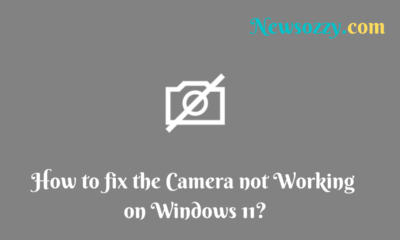 Camera not Working on Windows 11