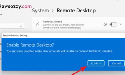 Enable or Setup Remote Desktop in Windows 11
