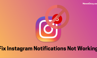 Fix Instagram Notifications Not Working