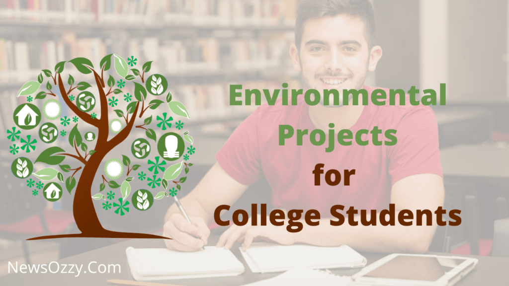 environmental pollution project for college
