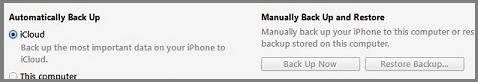 iPhone iCloud Backup