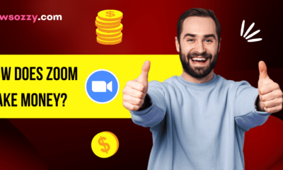 How does Zoom make Money