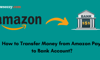 How to Transfer Money from Amazon Pay to Bank Account