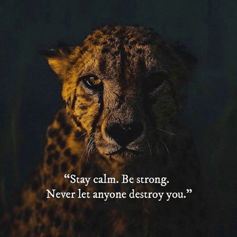 being strong dp images for whatsapp
