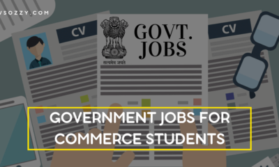 Government Jobs for Commerce Students