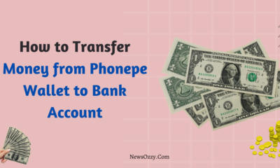 How to Transfer Money from Phonepe Wallet to Bank Account
