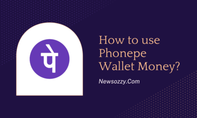 How to Use Phonepe Wallet Money