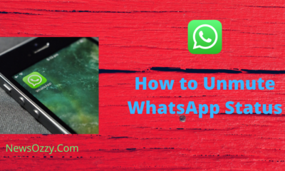 How to unmute WhatsApp Status