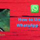 How to unmute WhatsApp Status