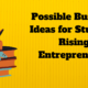 Possible Business Ideas for Students Rising Entrepreneurs