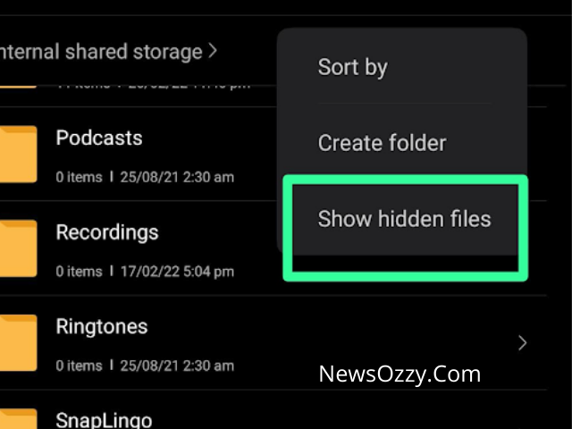 Show Hidden Files