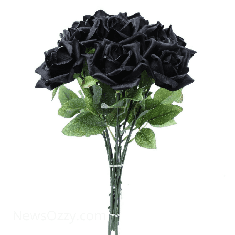 black rose wallpaper hd