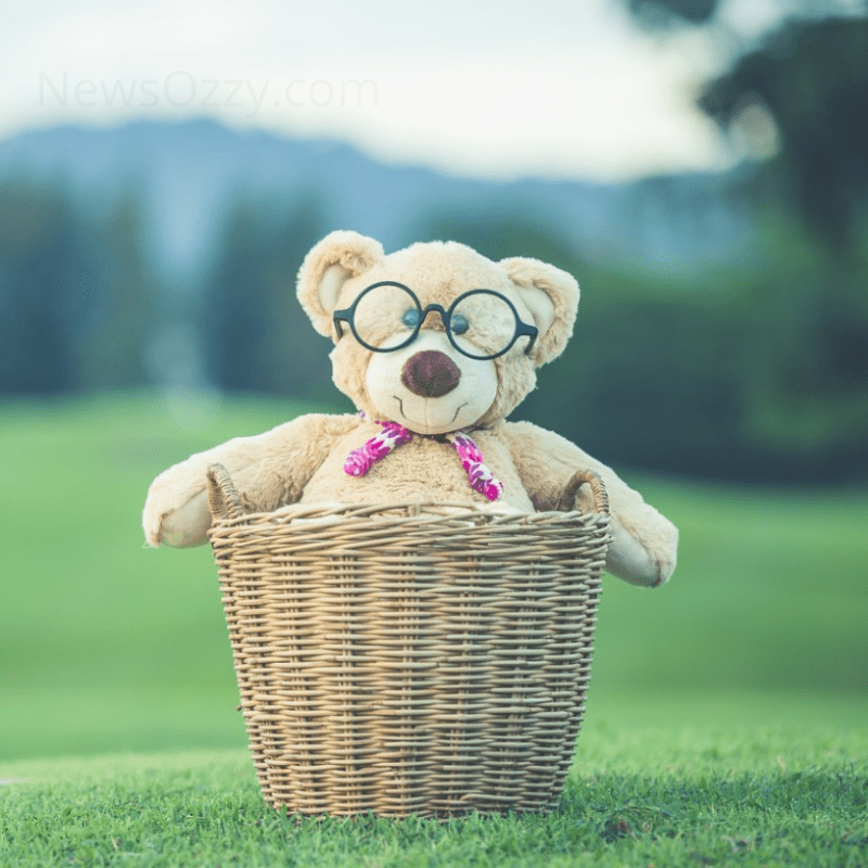 cute teddy bear for whatsapp dp