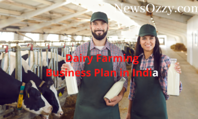 dairy farming business plan