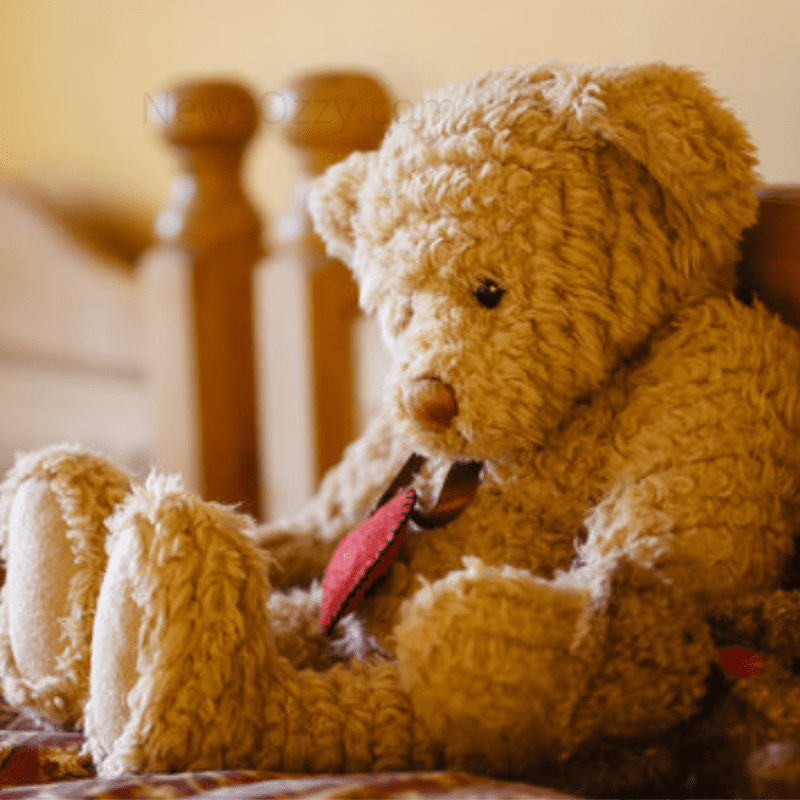 images of teddy bear for whatsapp dp