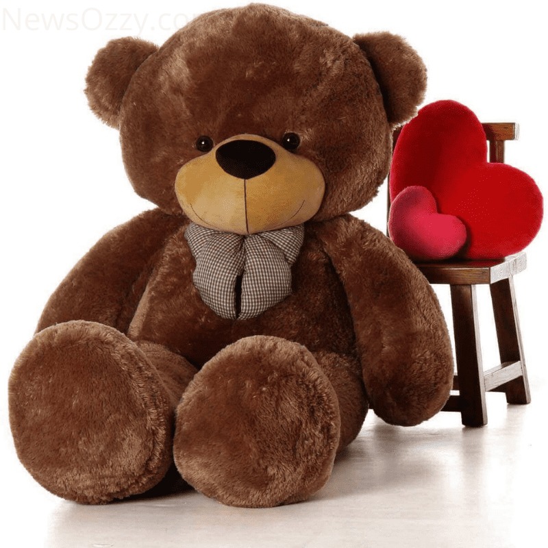 love dp for whatsapp teddy bear