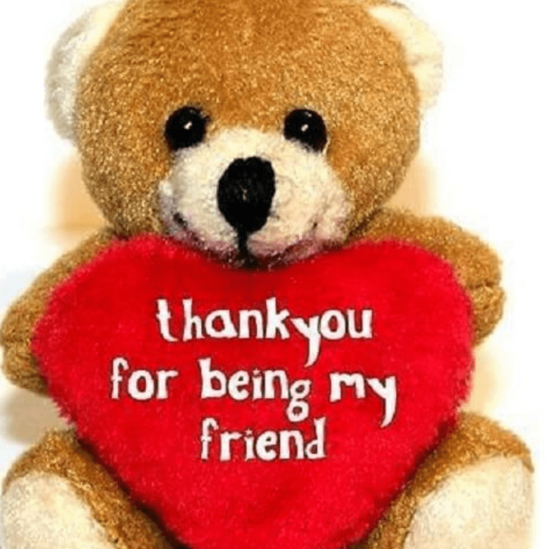 whatsapp teddy bear images for dp