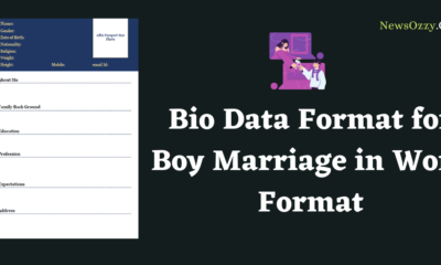 Bio Data Format for Boy Marriage in Word Format