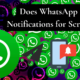 Does WhatsApp Send Notifications for Screenshots: