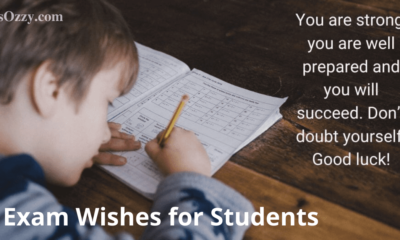 Exam Wishes for Students