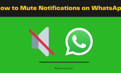 How to Mute Notifications on WhatsApp