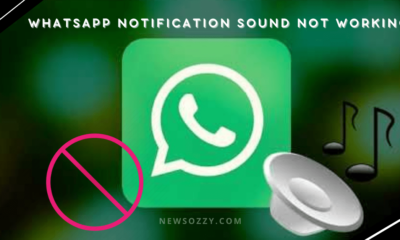 WhatsApp Notification Sound Not Working