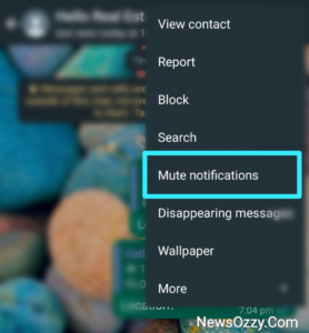  WhatsApp mute notifications
