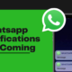Whatsapp Notifications Not Coming