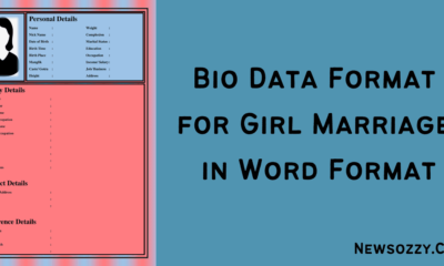 Bio Data Format for Girl Marriage in Word Format