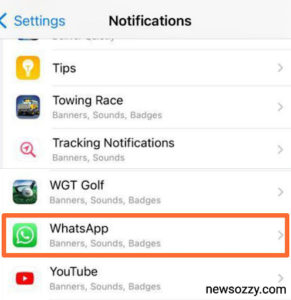 click on whatsapp option under notifications