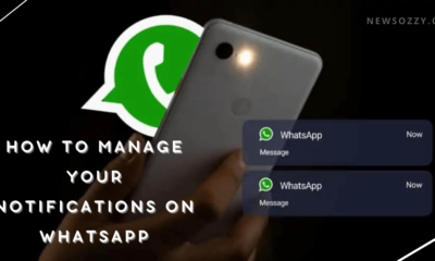 how to manage your notifications on whatsapp